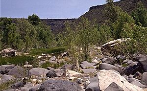 Archivo:Agfr aguafriariver