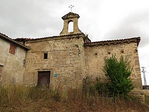 Archivo:Arce Miranda de Ebro