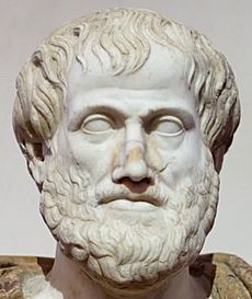 Archivo:Aristotle Altemps Detail