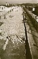 Bundesarchiv Bild 192-188, KZ Mauthausen, Bau des Appellplatzes