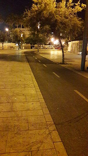 Archivo:Carril-bici Coll d'en Rabassa
