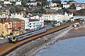 Dawlish View