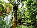 Denver Botanic Gardens - DSC00905