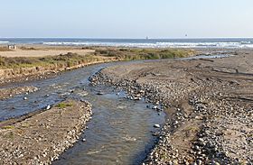 Desembocadura del Río Lluta 2019.jpg
