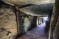 Dolmen de Soto de Trigueros (48732085743)
