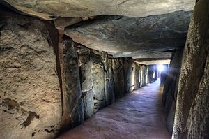 Archivo:Dolmen de Soto de Trigueros (48732085743)