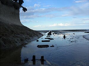 Archivo:Ex muelle de caleta olivares
