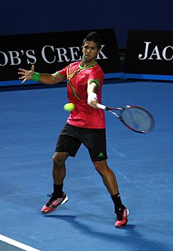 Archivo:Fernando Verdasco na Australian Open 2011