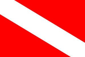 Archivo:Flag of Barotseland