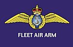 Fleet Air Arm.jpg