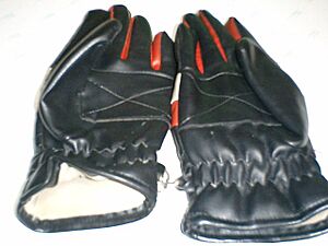 Archivo:Gloves2