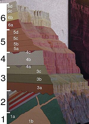 Archivo:Grand Canyon geologic column
