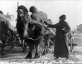 Archivo:Harriet Chalmers Adams in the Gobi desert
