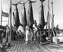Archivo:Hemingway and Marlins