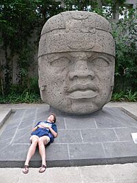 Archivo:Jalapa Museum Olmekenkopf (fcm)