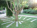 Jardín Aclimatación2