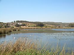 Archivo:Laguna El Peral (Humedal)