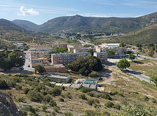 Lo Campano (20250511 101736).jpg