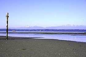 Archivo:Low tide on Whidbey Island