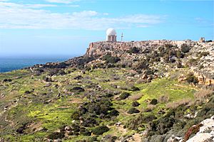Archivo:Malta-dingli-coast-181