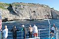Monito from dive boat
