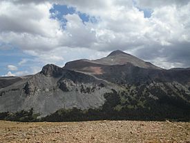 Mount Dana.jpg