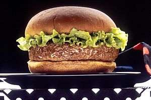 Archivo:NCI Visuals Food Hamburger