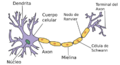Neurona