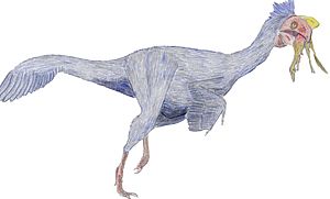 Archivo:Oviraptor Shuvuuia