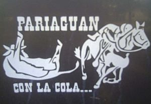 Archivo:Pariaguanconlacola