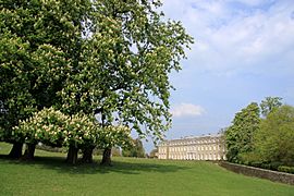Petworth House and Park