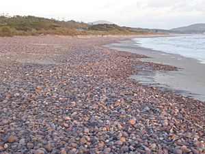 Archivo:Playa Bella Vista Maldonado Uruguay
