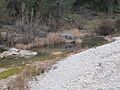 Río Bergantes a su paso por el término municipal de Zorita del Maestrazgo (Castellón)