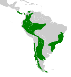Distribución geográfica de los rinocríptidos.