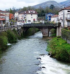 Rio Miera La Cavada.jpg