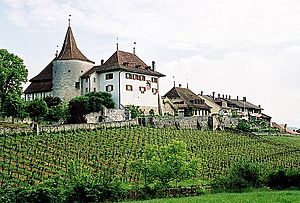 Archivo:Schloss Erlach 2