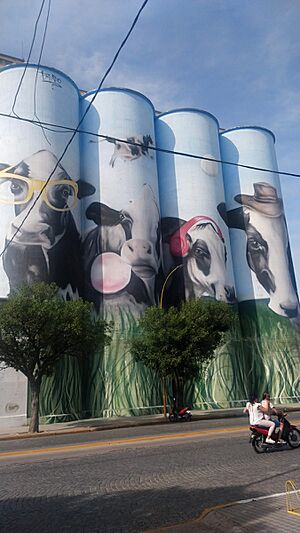 Archivo:Silos de 25 de Mayo