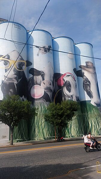 Silos de 25 de Mayo
