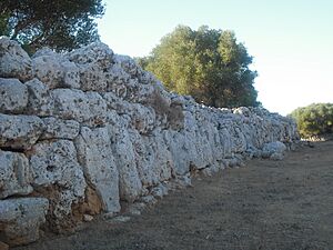 Archivo:Son Catlar murallas