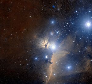 Nebulosa Cabeza de Caballo para Niños