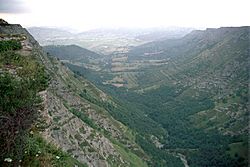 Valle delica.jpg