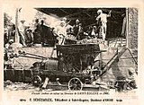Archivo:Vendanges à Oran 1909