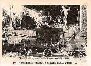 Archivo:Vendanges à Oran 1909