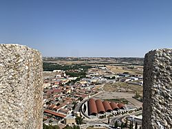 Vistas de Peñafiel desde el Castillo de Peñafiel hacia Bodega de Protos
