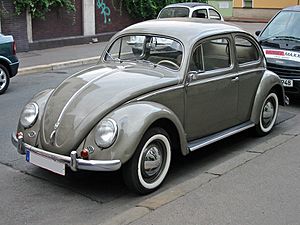 Archivo:Vw kaefer ovali v sst