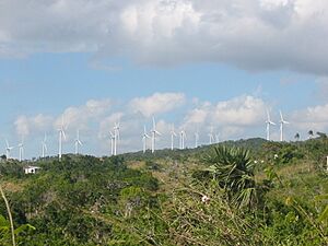 Archivo:Windmills-Wington-Jamaica