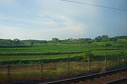 201806 Sanjie Field.jpg