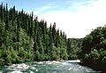 Alagnak River Rapids
