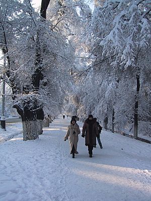 Archivo:Almaty winter Street