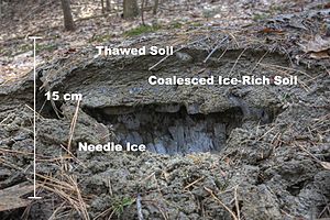 Archivo:Anatomy of a Frost Heave